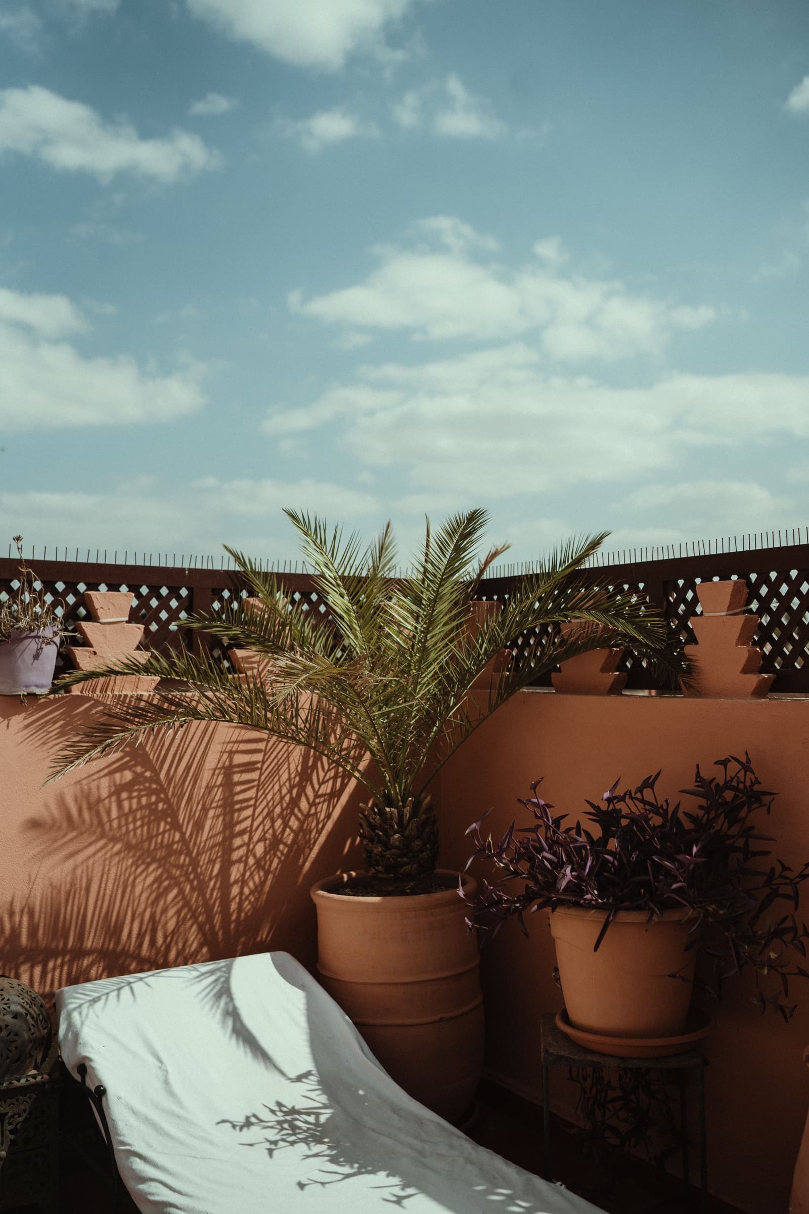 Sunny riad rooftop terrace in Marrakech