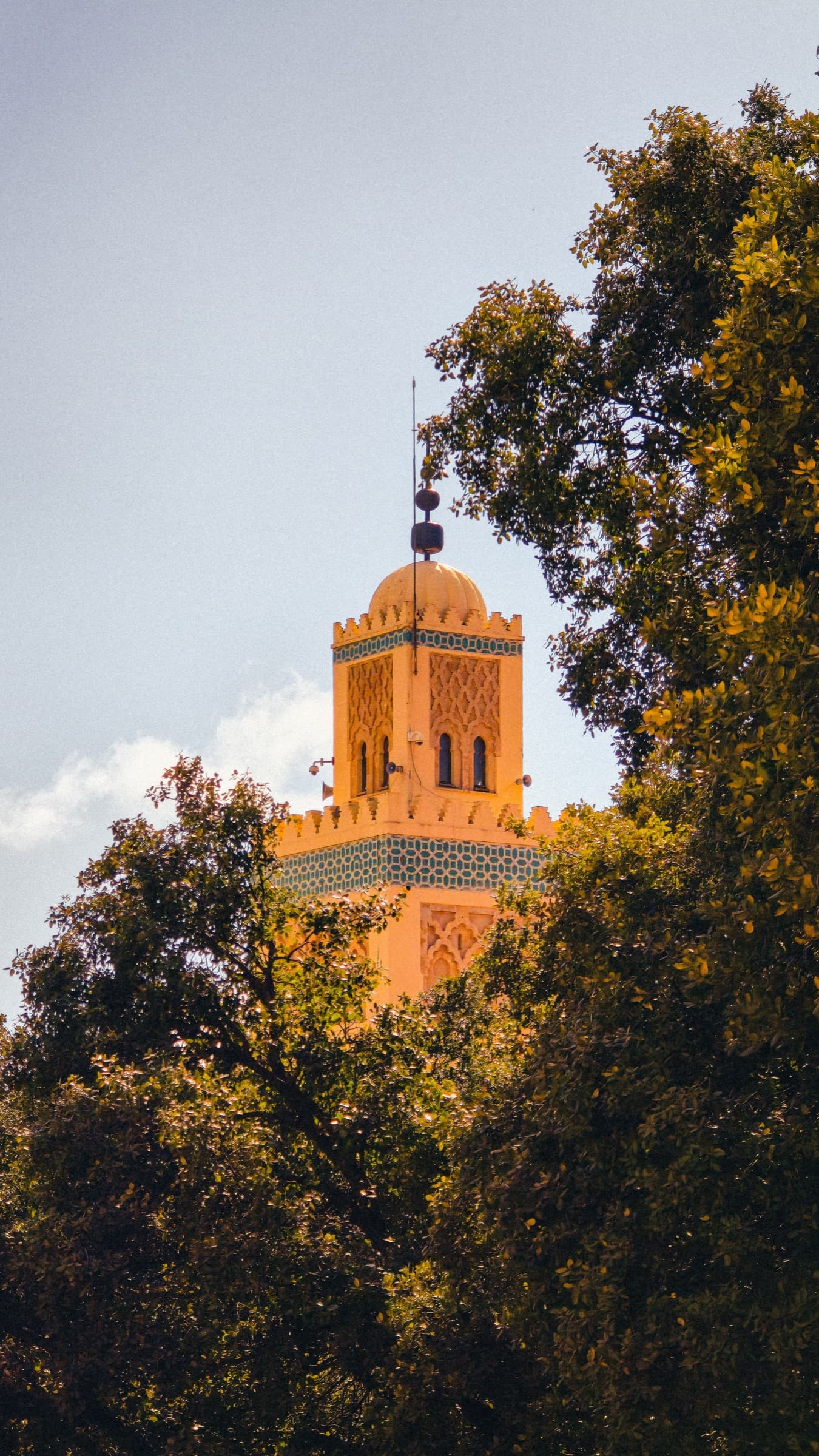 Koutoubia Mosque framed by trees in Marrakech